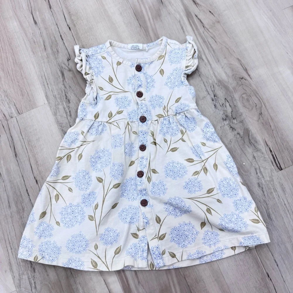 Hydrangea ruffle Sleeve blue cream button front 100% cotton dress Sz 2Y